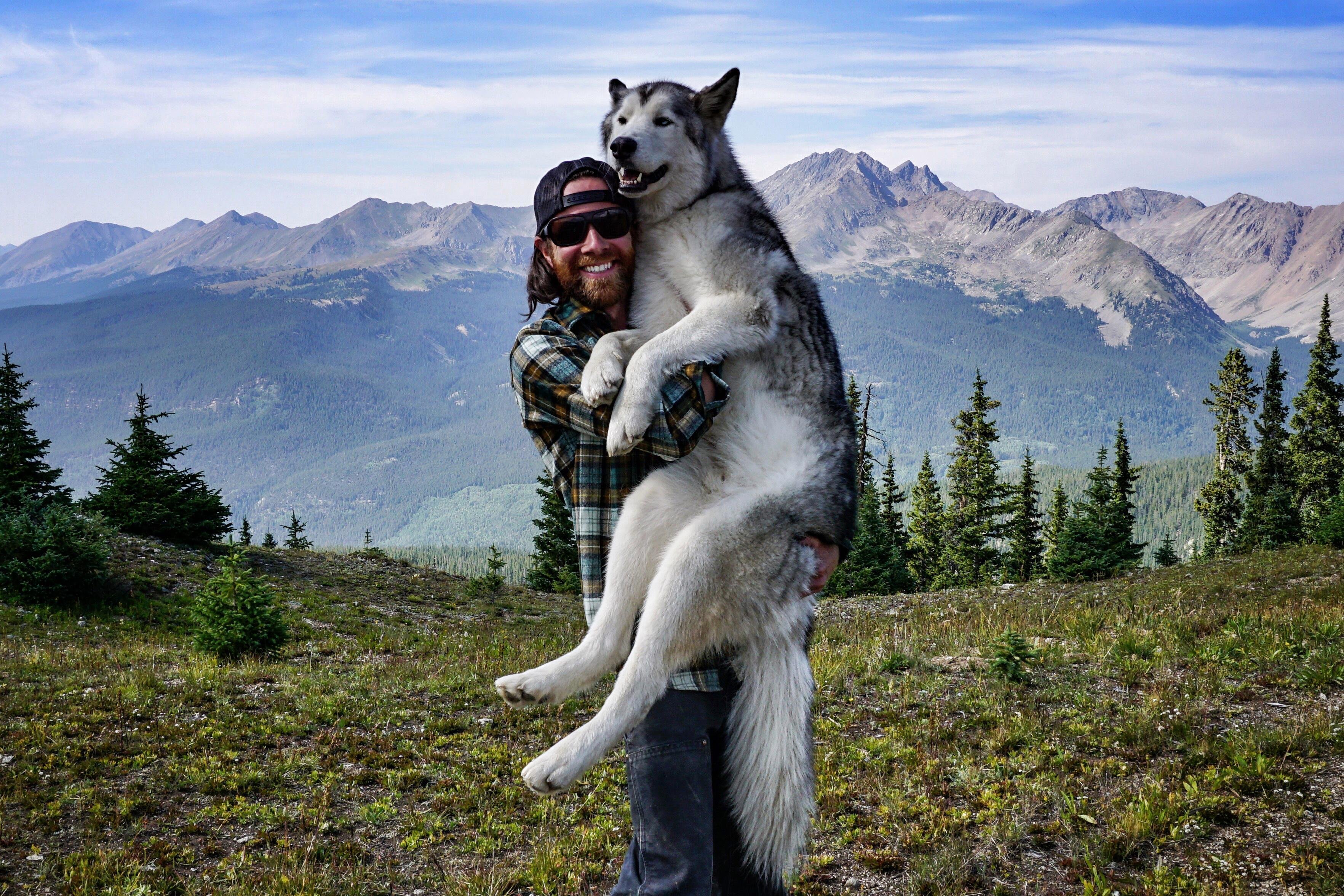 Волк и человек Дружба