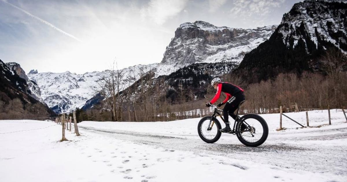 Winter mountain bikes online