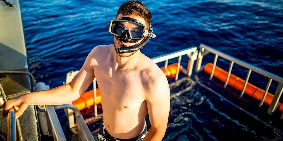 Kris Bryant swims with sharks in Hawaii video