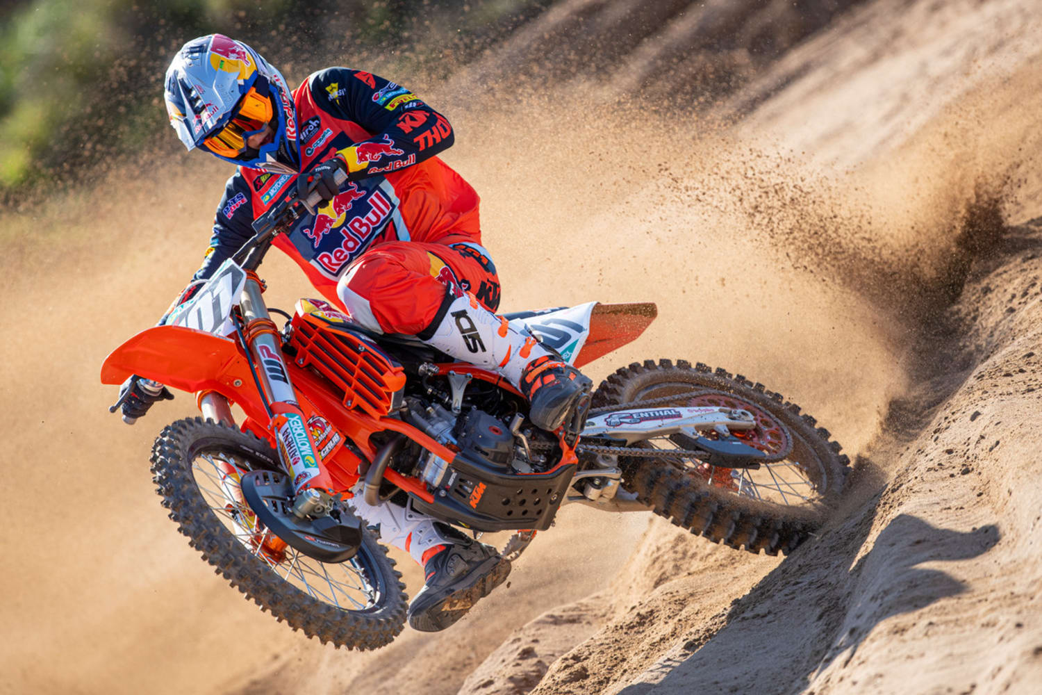 Mattia Guadagnini Motocross Red Bull Athlete Profile