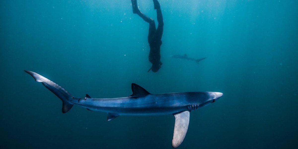 UK freediving: The 6 best locations to check out
