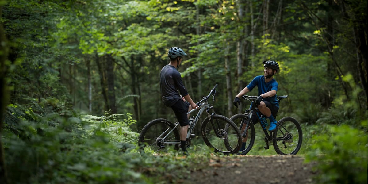 Best mountain bikes under 500 The 7 greatest bargains