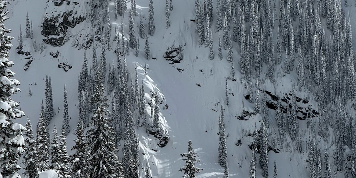 Natural Selection Tour 2024 Revelstoke report