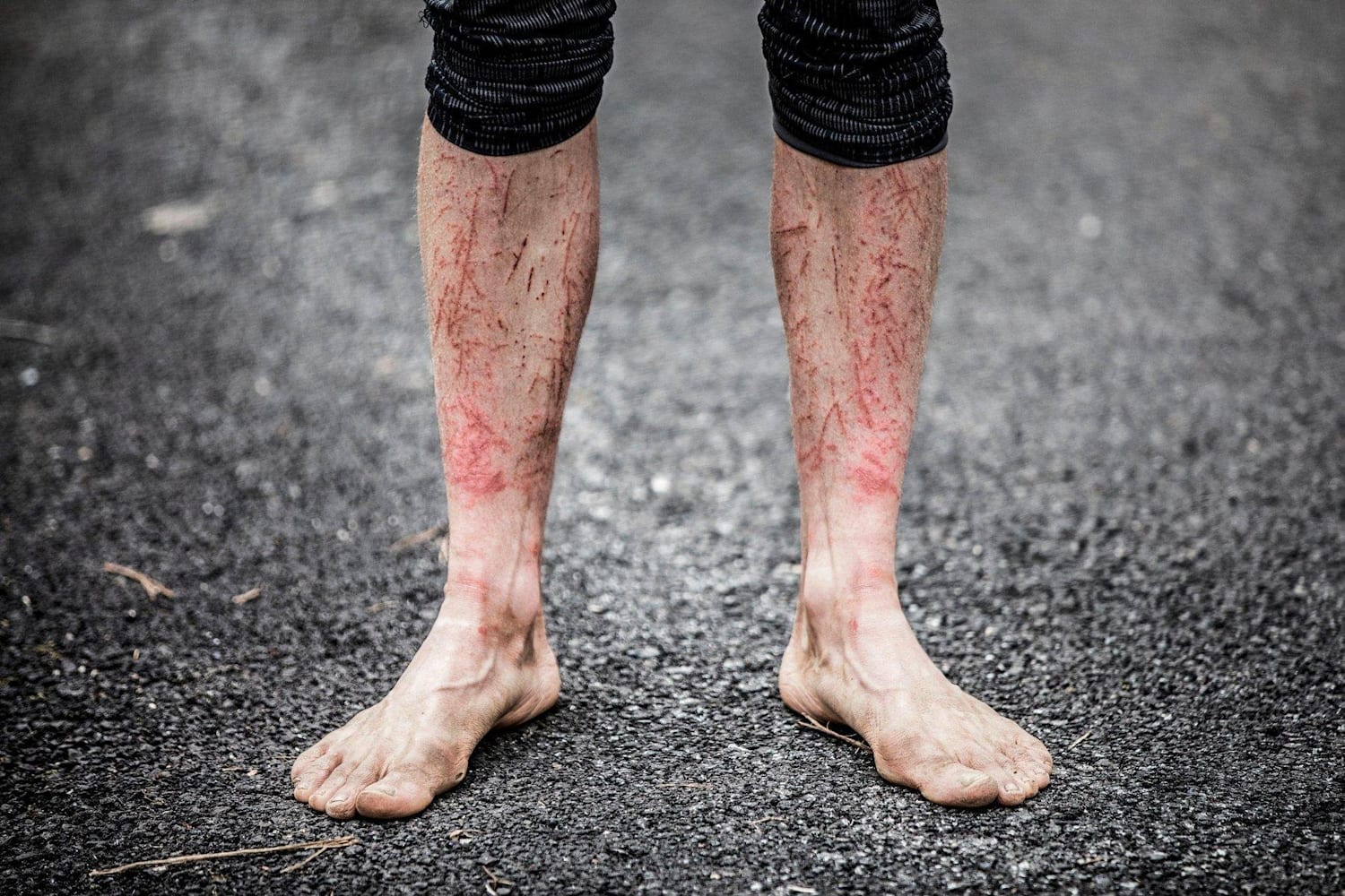 The Barkley Marathons guide A brutal running adventure