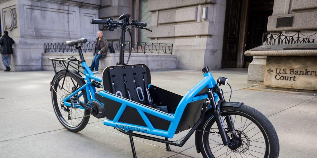 cargo bike elettrica usata