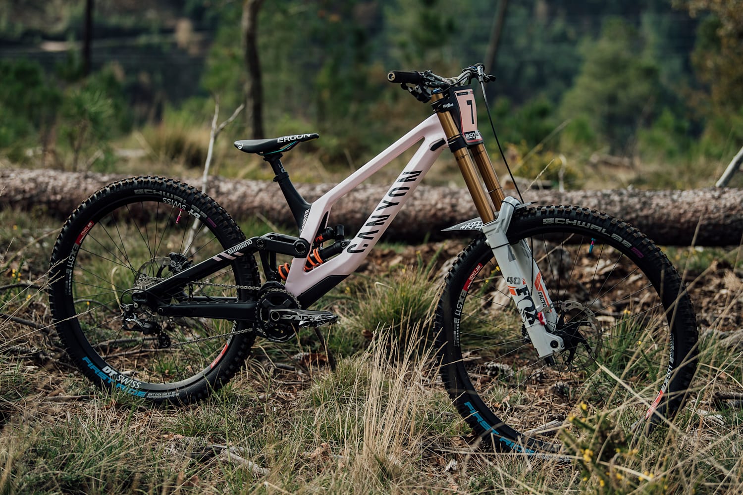 canyon dh bike 2020