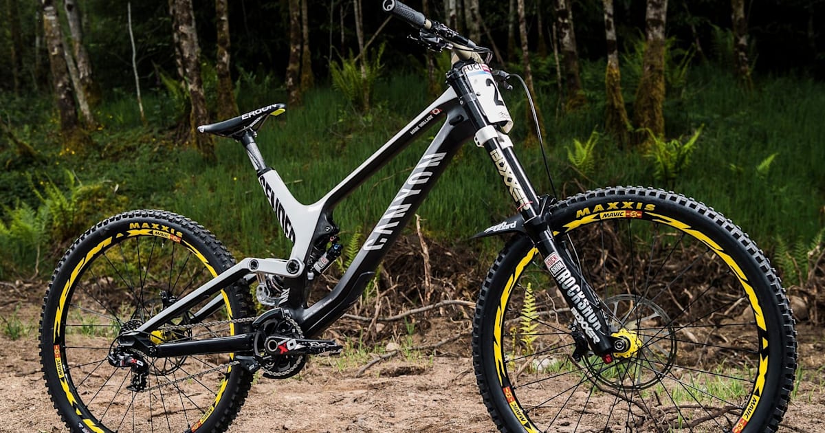 Canyon sender 29er new arrivals