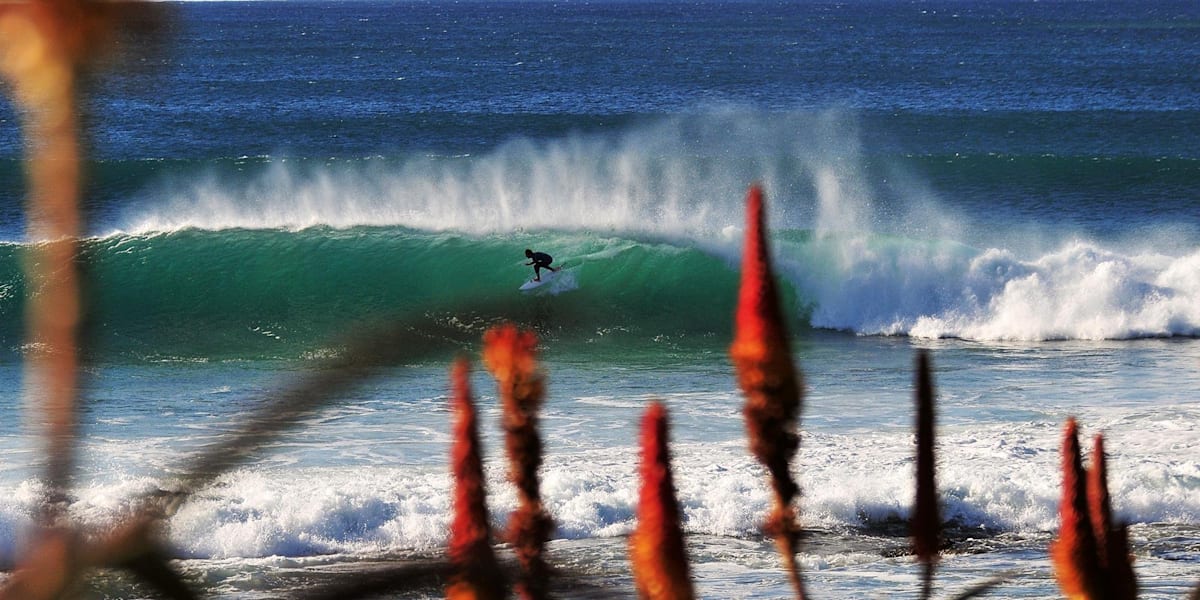Surfen in Jeffreys Bay Die beste Welle der Welt?