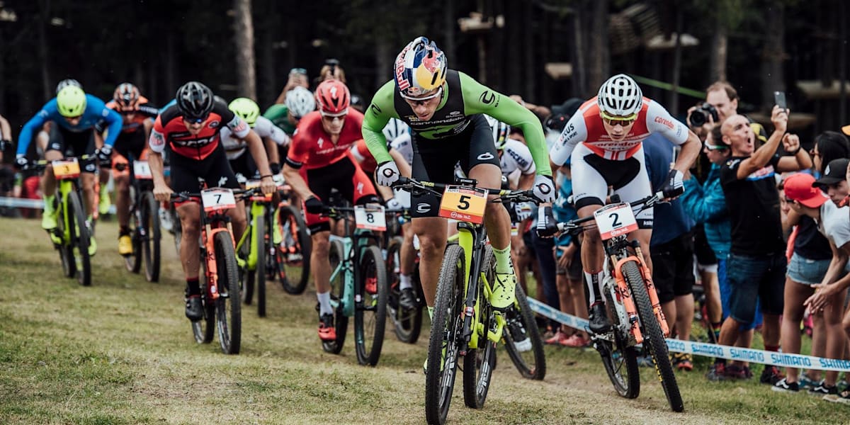 chair pedal exerciser