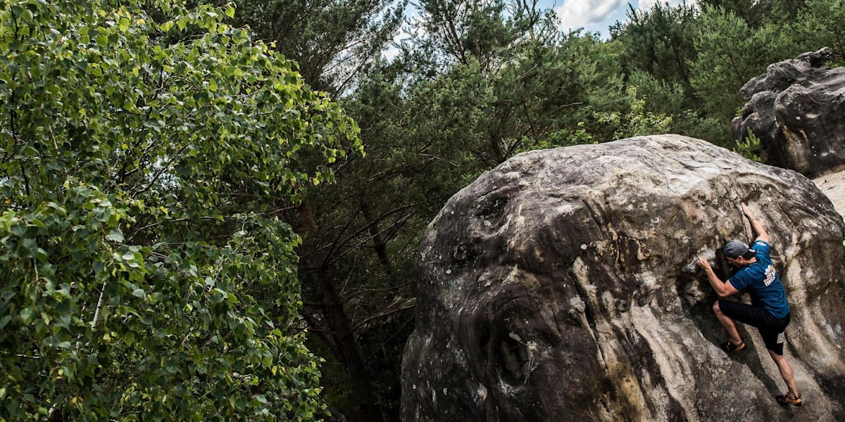 L'histoire de l'escalade à Fontainebleau ! Font&Bleau