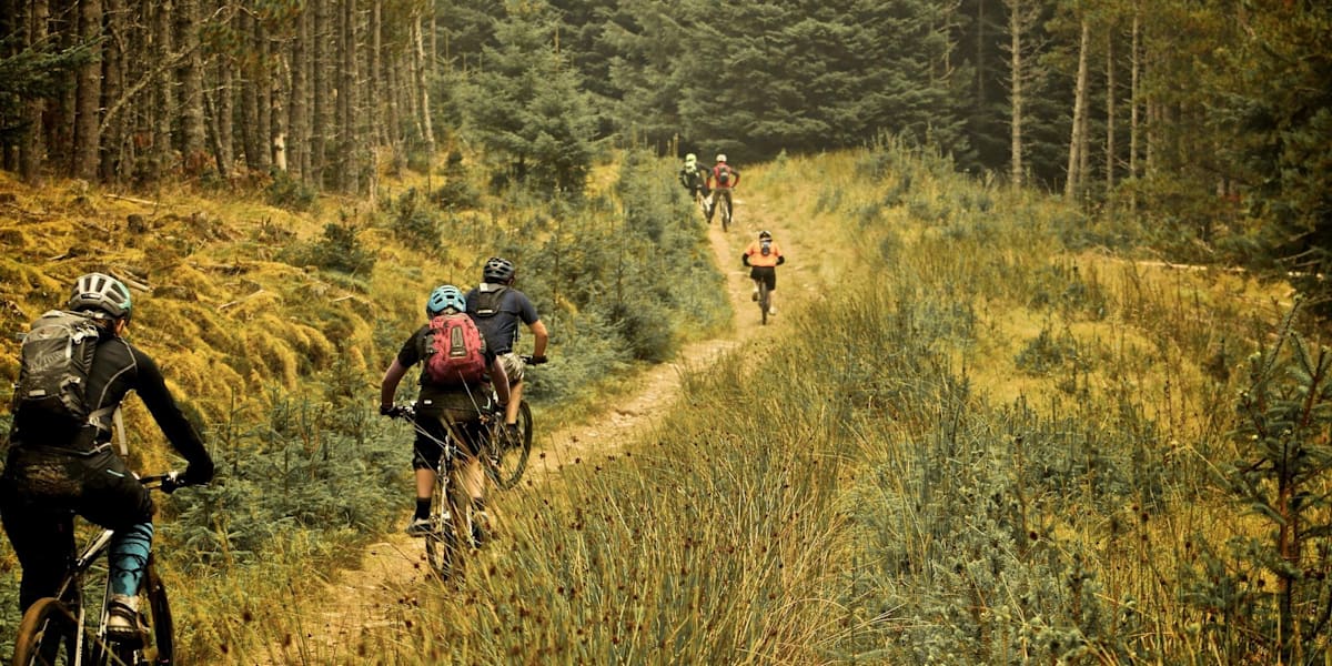 Mountain bike uk shop