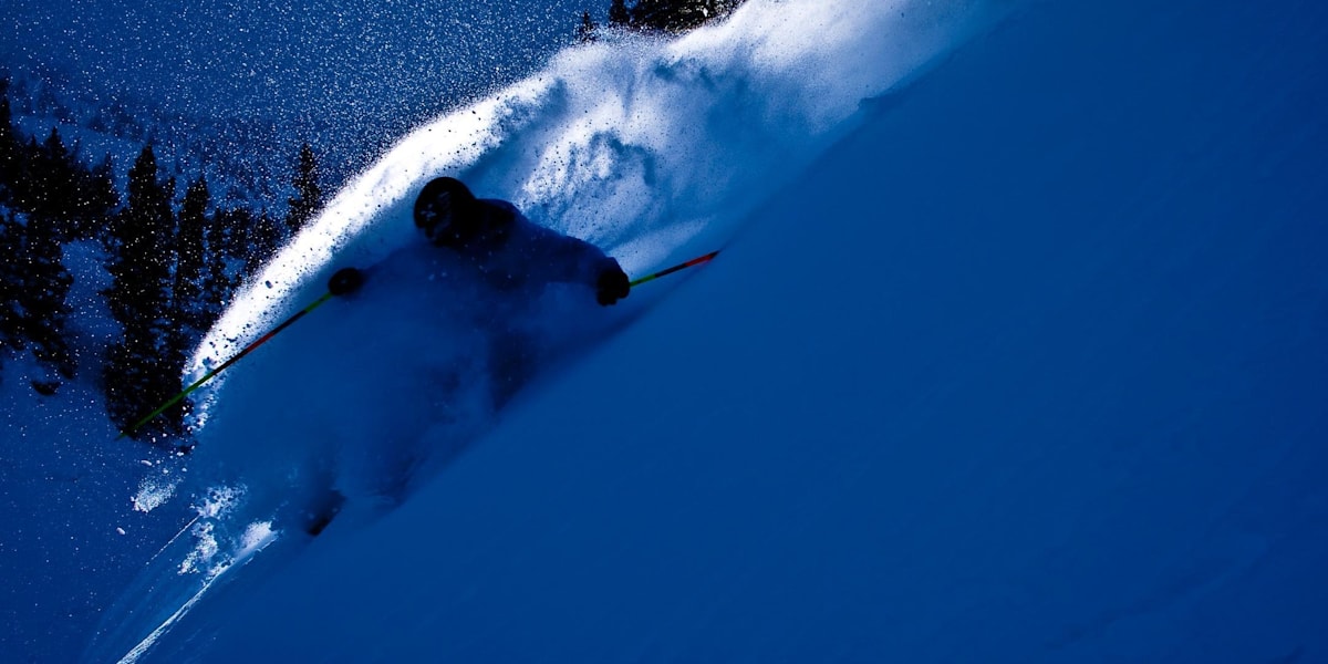FWT – Snowbird
