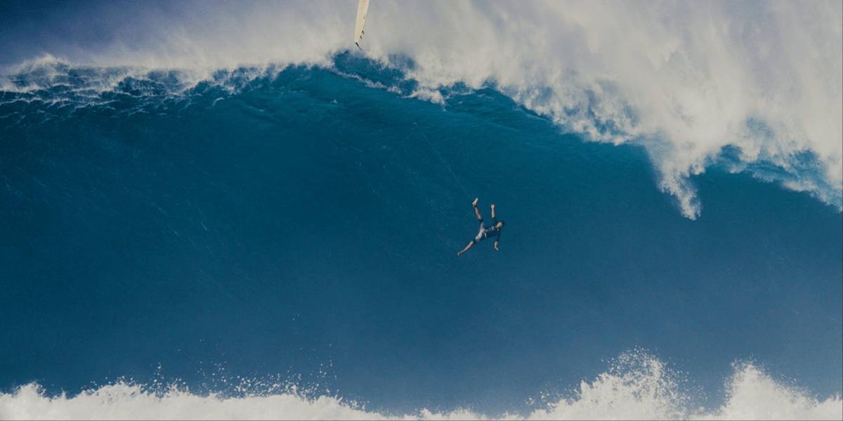 Jaws wipeout shop