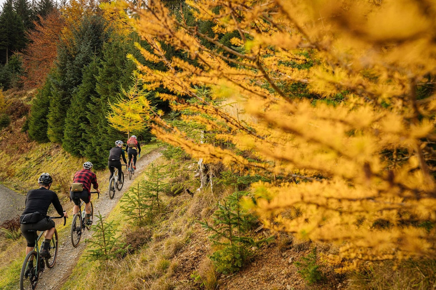 Gravelbiking clearance