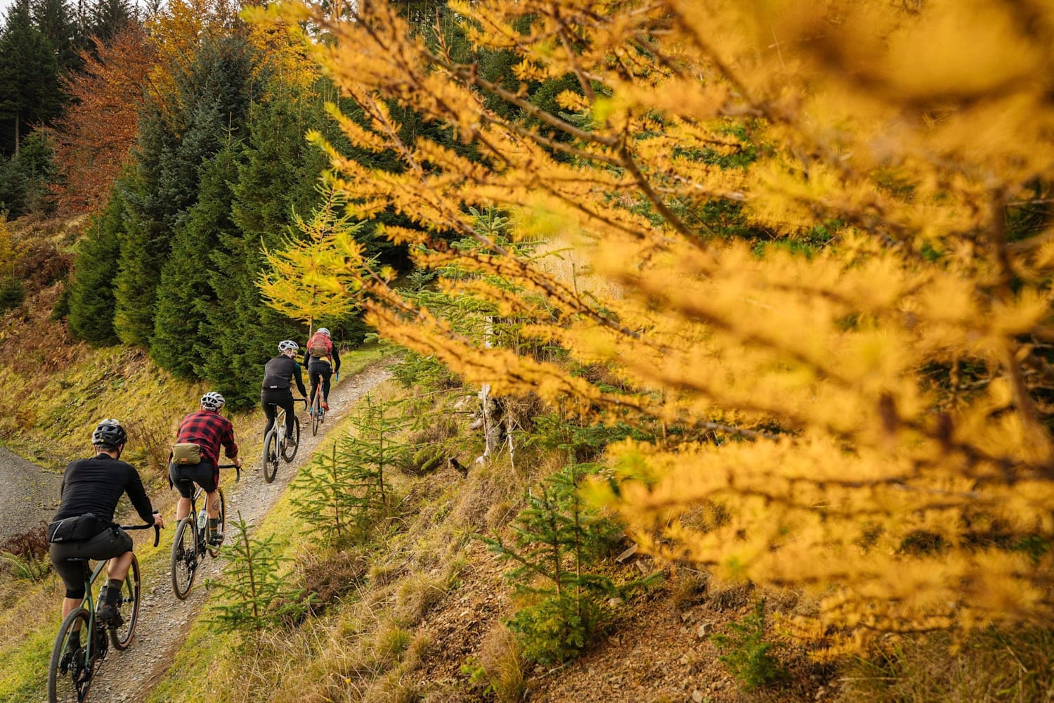 gravel bike trip