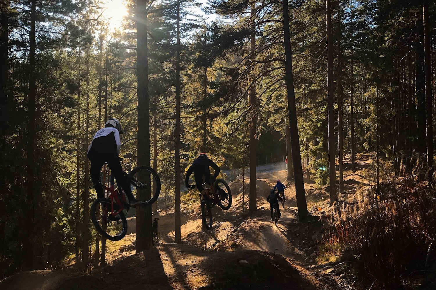 7 Stereotypes in a Swedish bike park