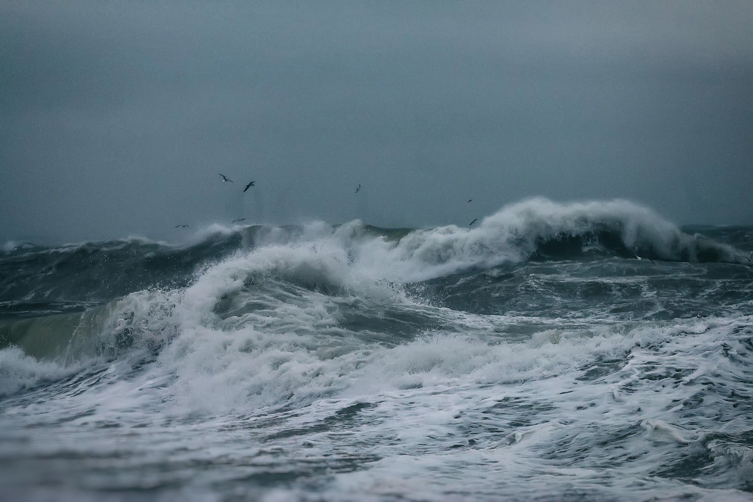 Dan Mihailescu Iti Spune Cum Sa Iubesti Marea Neagra