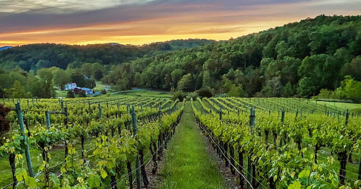 Guide: Under the radar wineries across the US