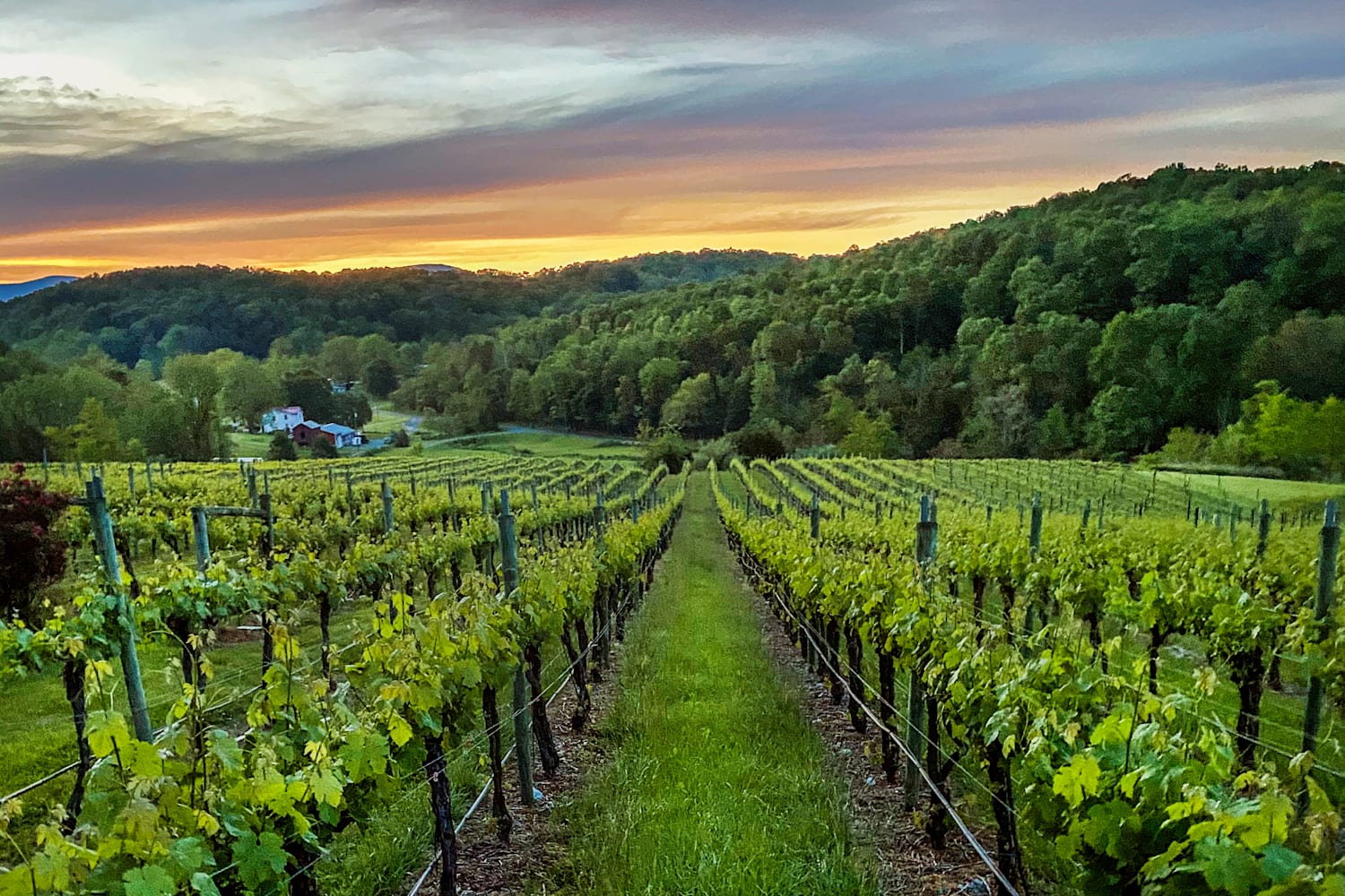 Guide Under the radar wineries across the US