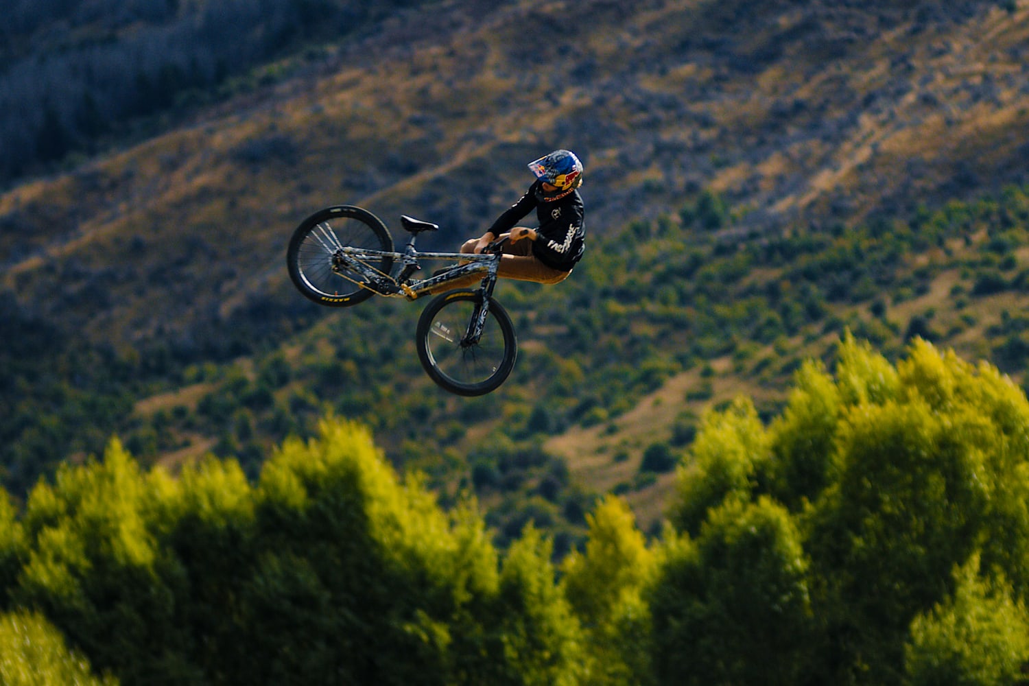 ergon saddles