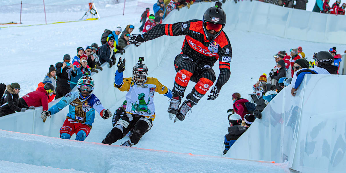 Ice Cross: o que é, onde vive, do que se alimenta