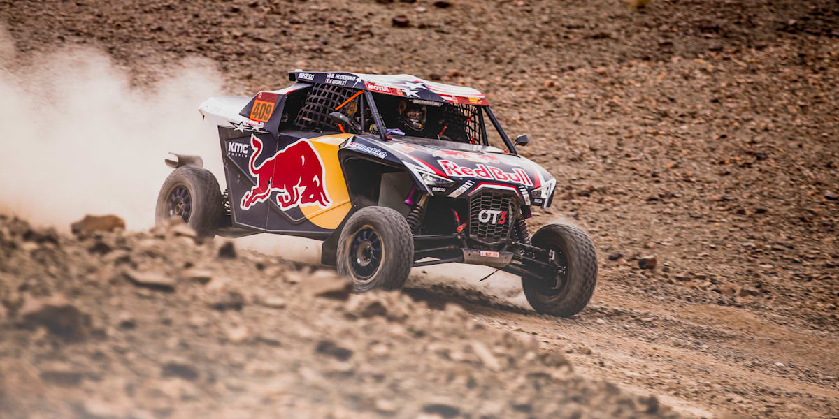 Buggy red store bull