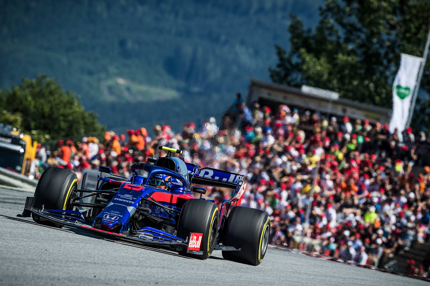 Aston Martin Red Bull Racing F1 Alex Albon Quiz