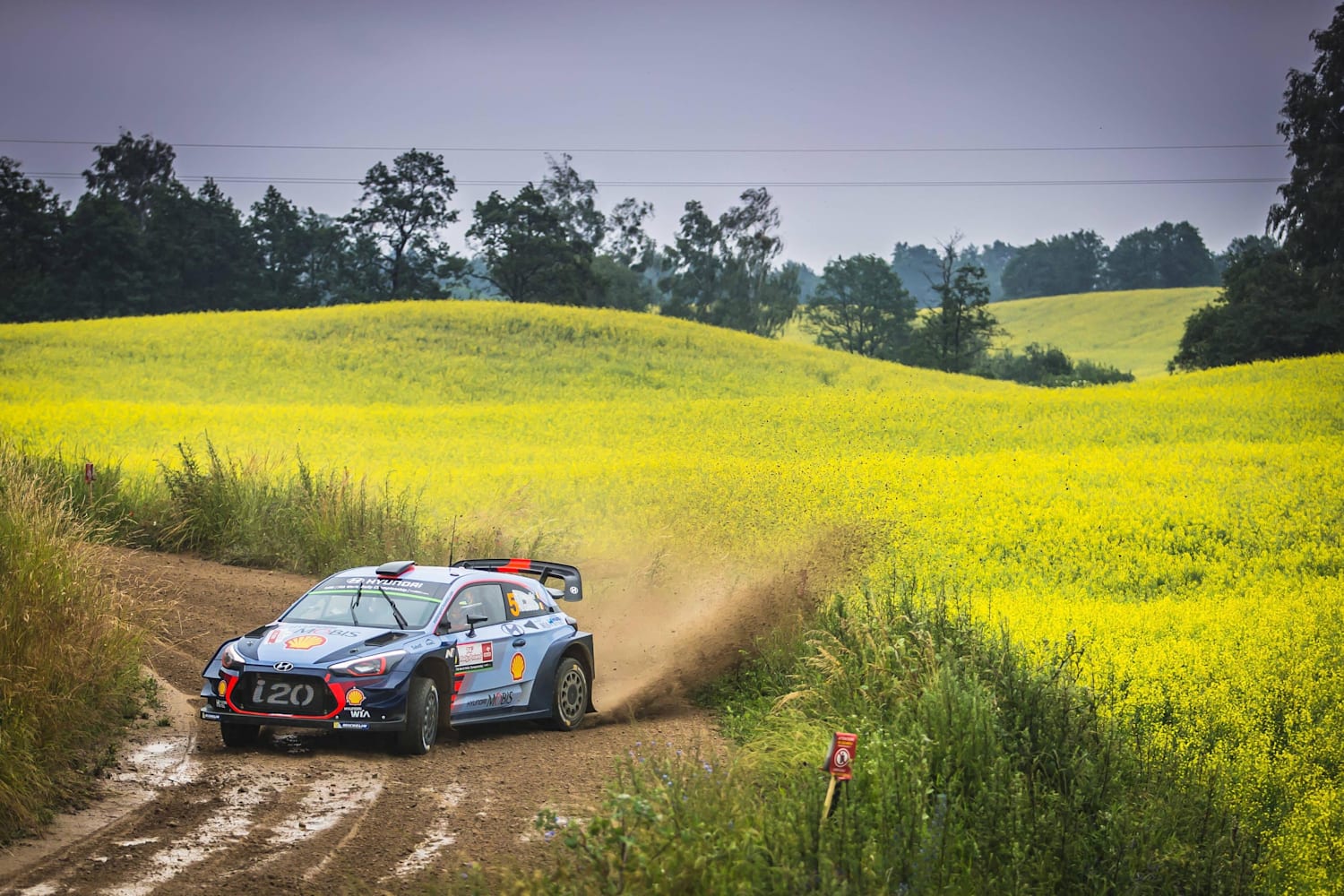 FIA WRC Rally Polonia mejores momentos Red Bull