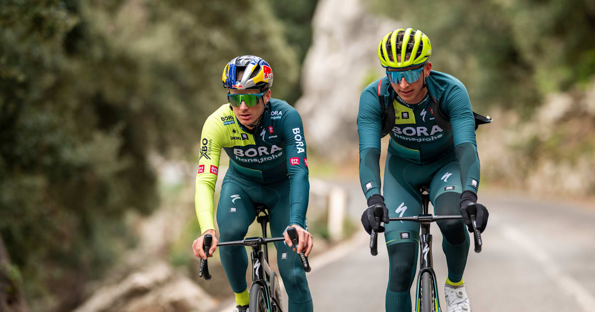 Red Bull Junior Brothers: information, videos, photos
