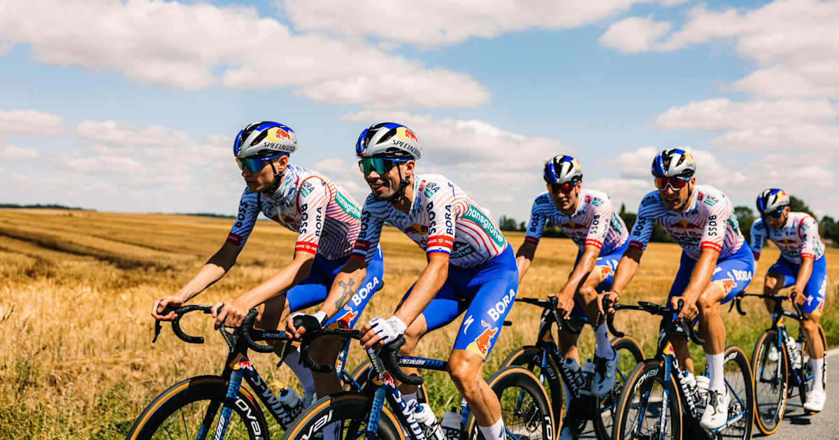 Everything you need to know