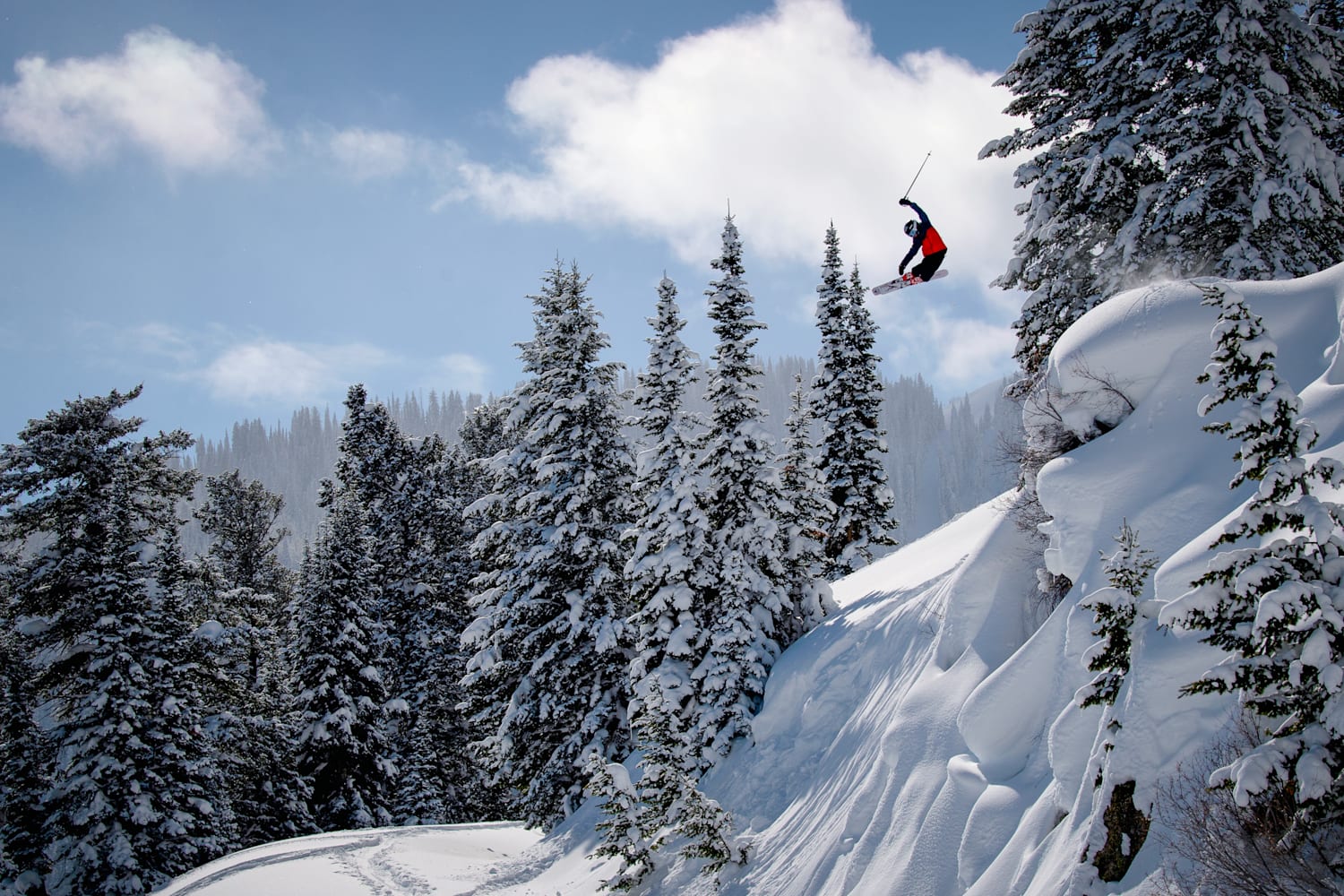Winterland The roots of skiing and snowboarding film