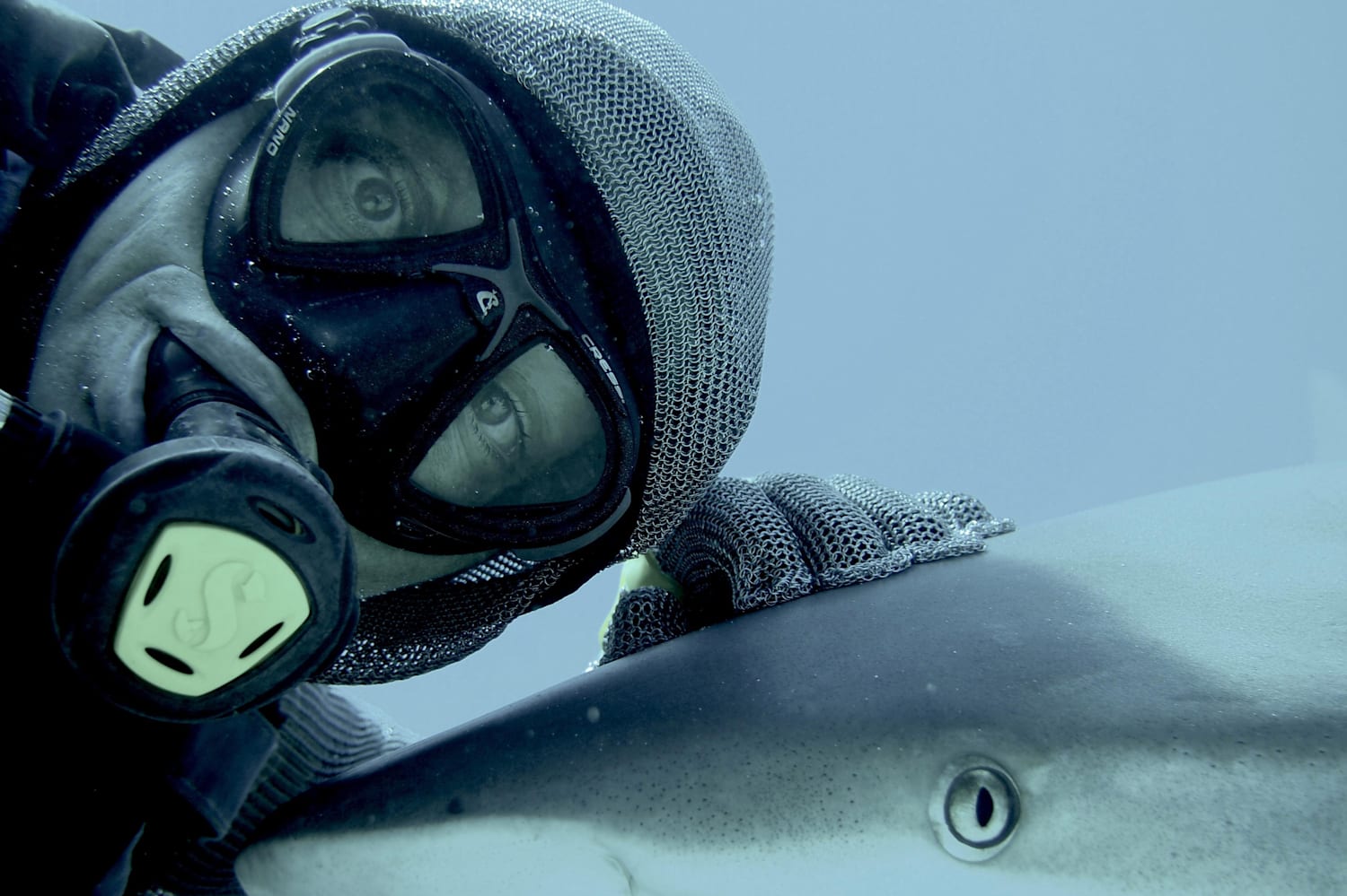 Christina Zenato + Sharks = Love Story | Red Bull