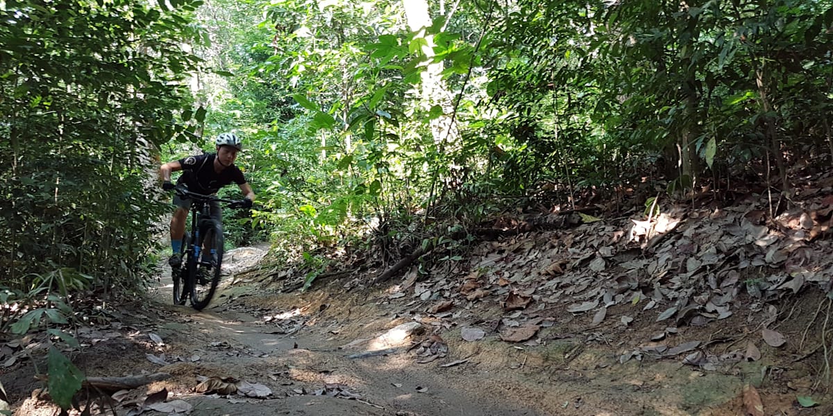 Bukit kiara mtb trail top