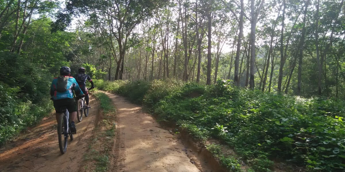 Jb mountain bikes online