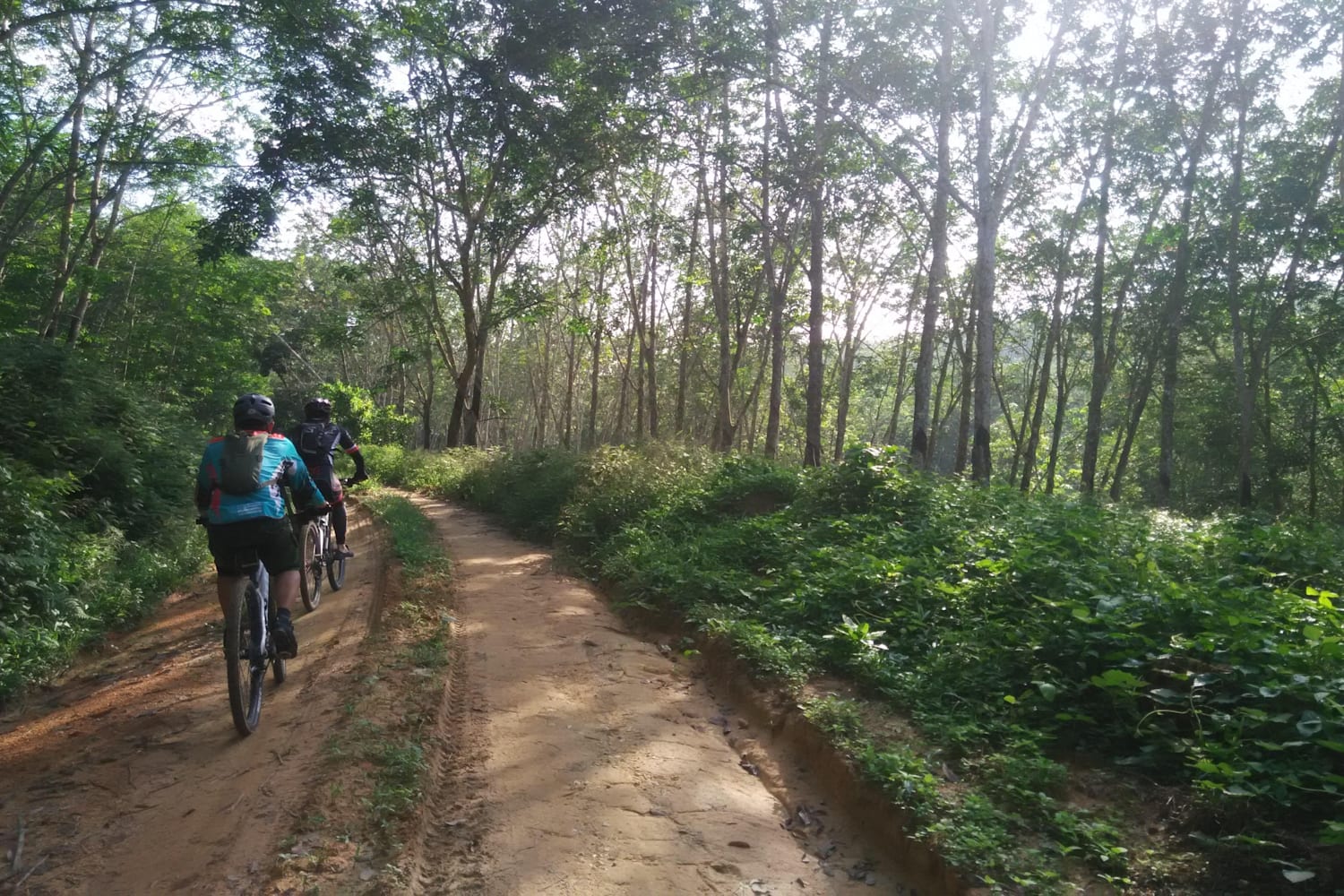 Up North The Pasak Trails