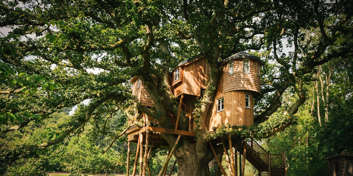 Treehouse hotel clearance