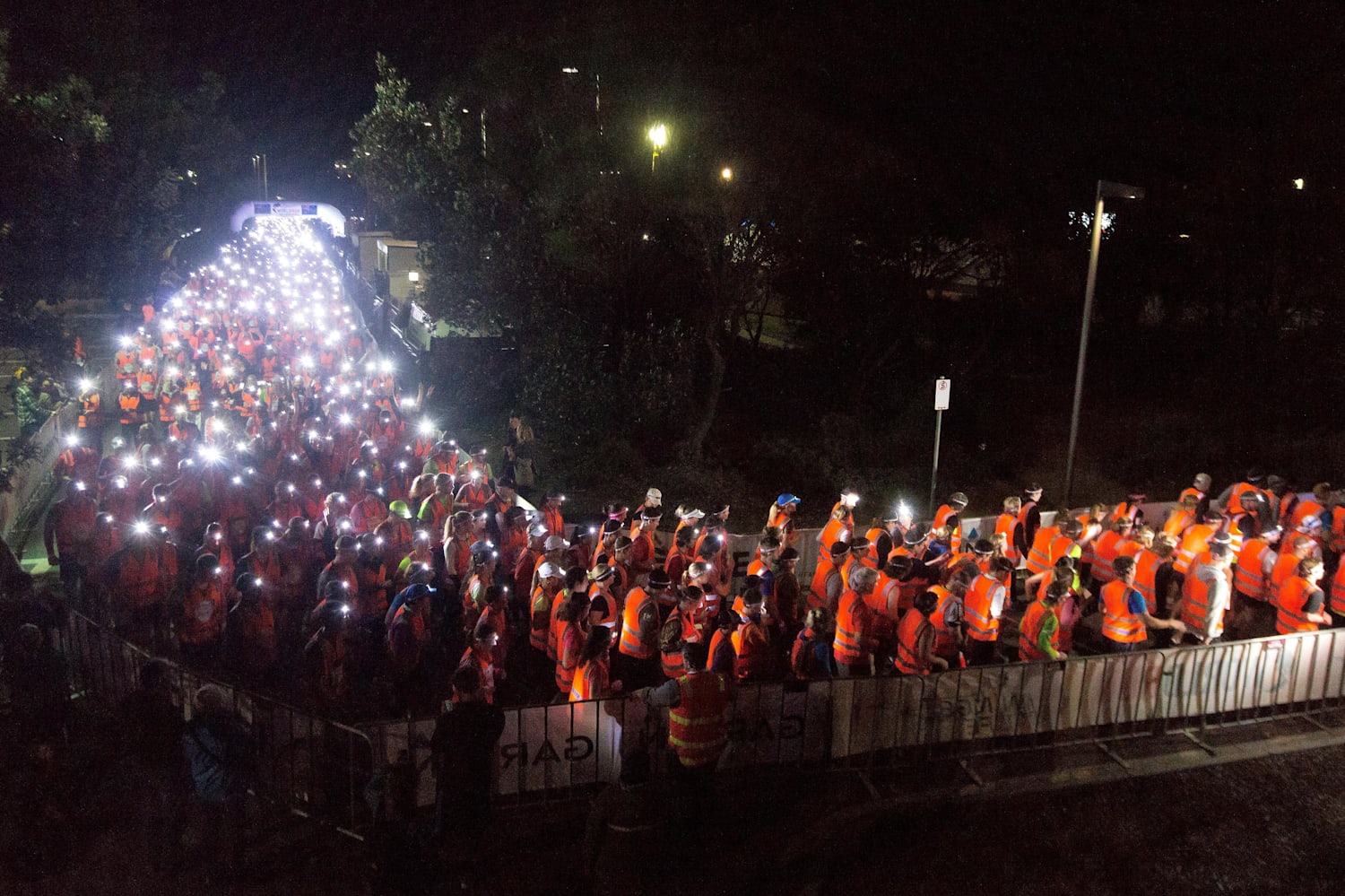 Wings for Life World Run 2019 event facts, info, videos