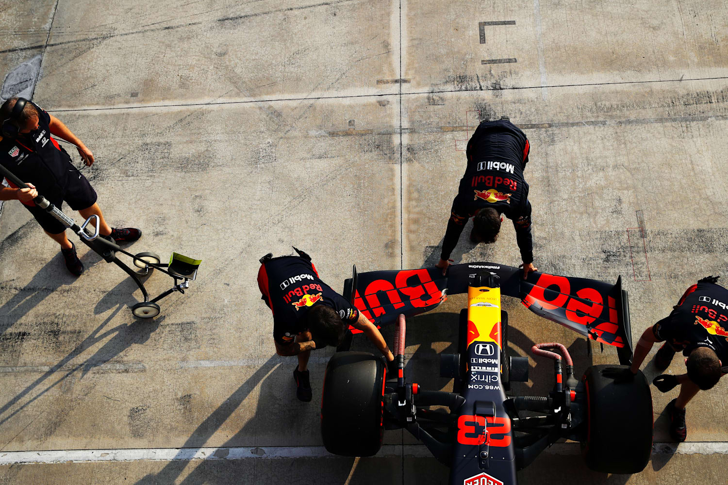 w66 red bull racing