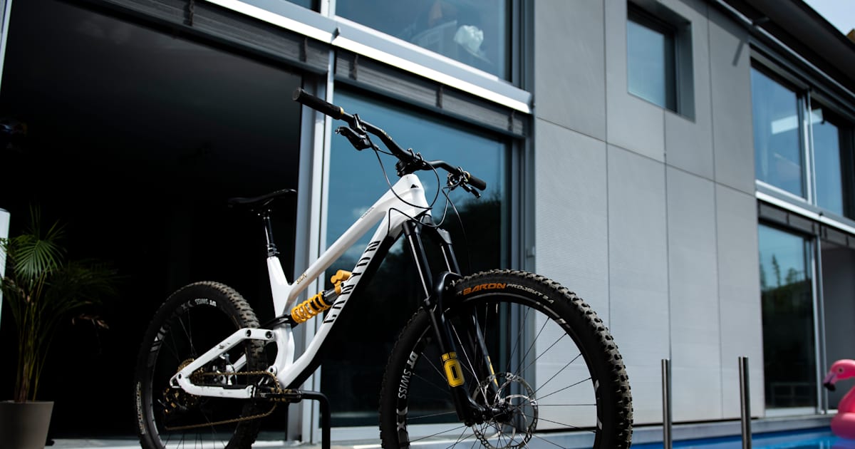 Fabio wibmer dh bike new arrivals
