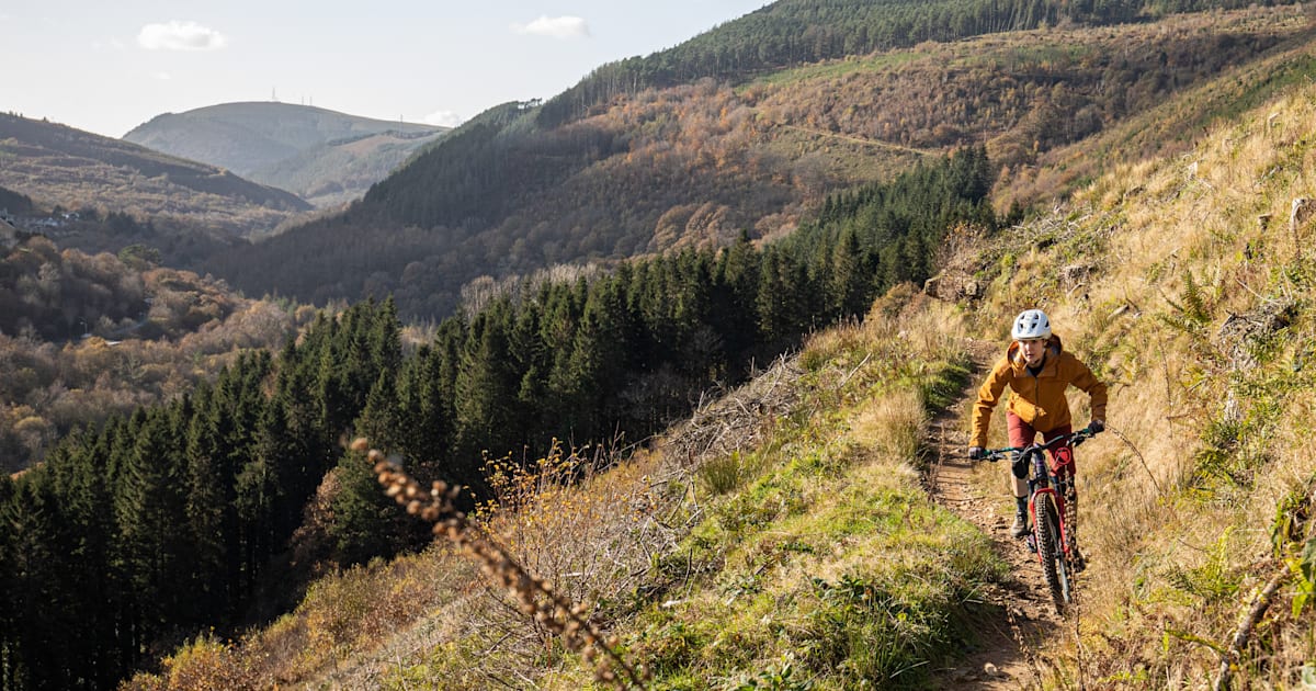 Afan Forest Park guide Everything you need to know