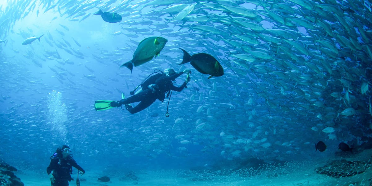 Scuba Diving Red Bull