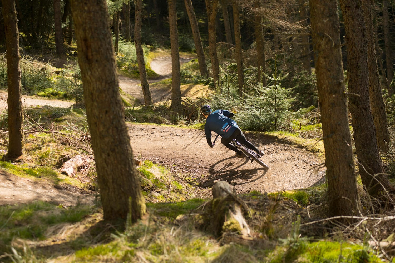 mountain bike downhill near me