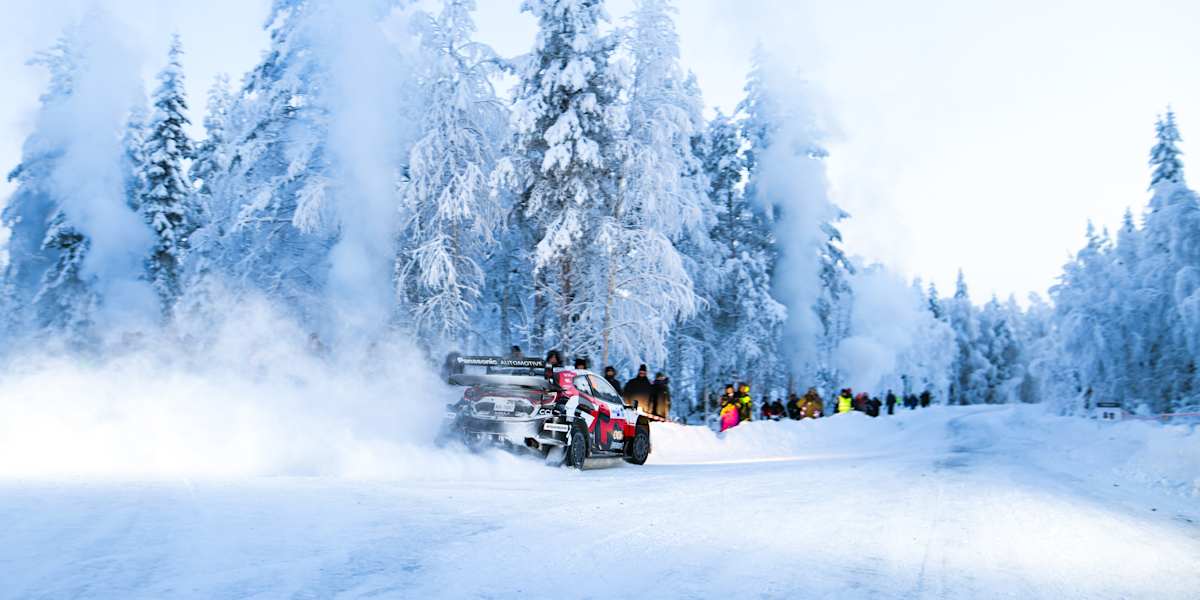 The Art of Baking: From Classic Bread to Artisan Pastries