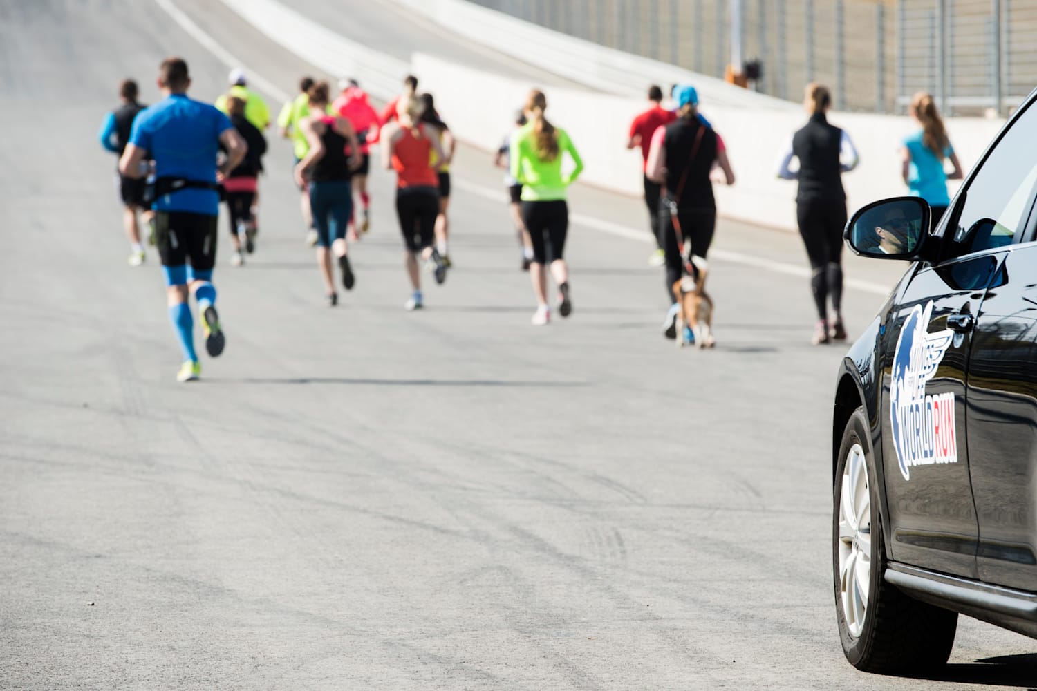 Wings for Life World Run 2014 síguelo en directo