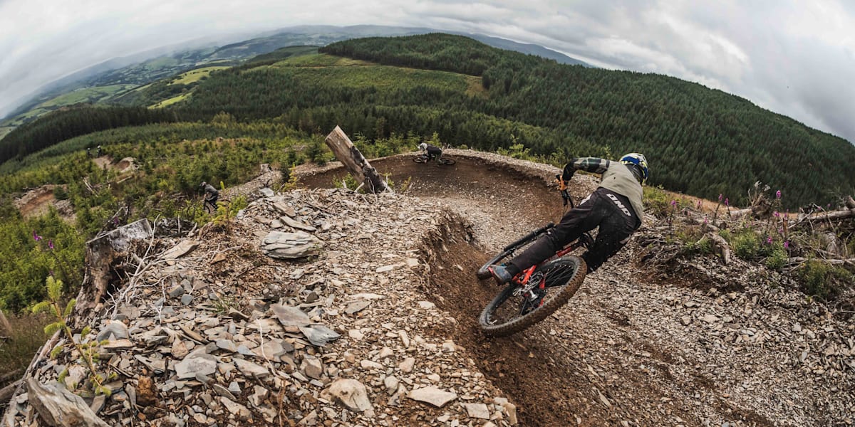 Dyfi Bike Park Guide Everything you need to know
