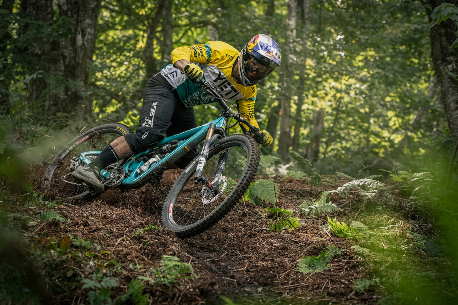 top enduro bikes 2021