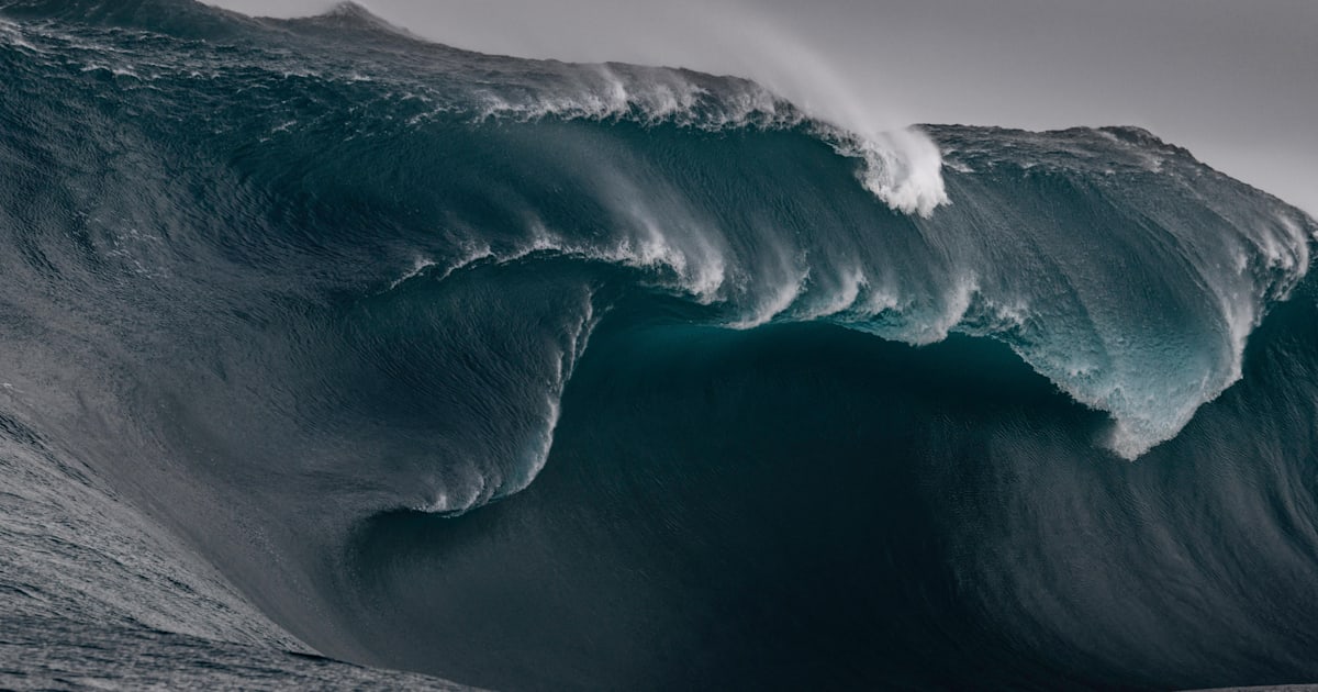 Largest wave discount