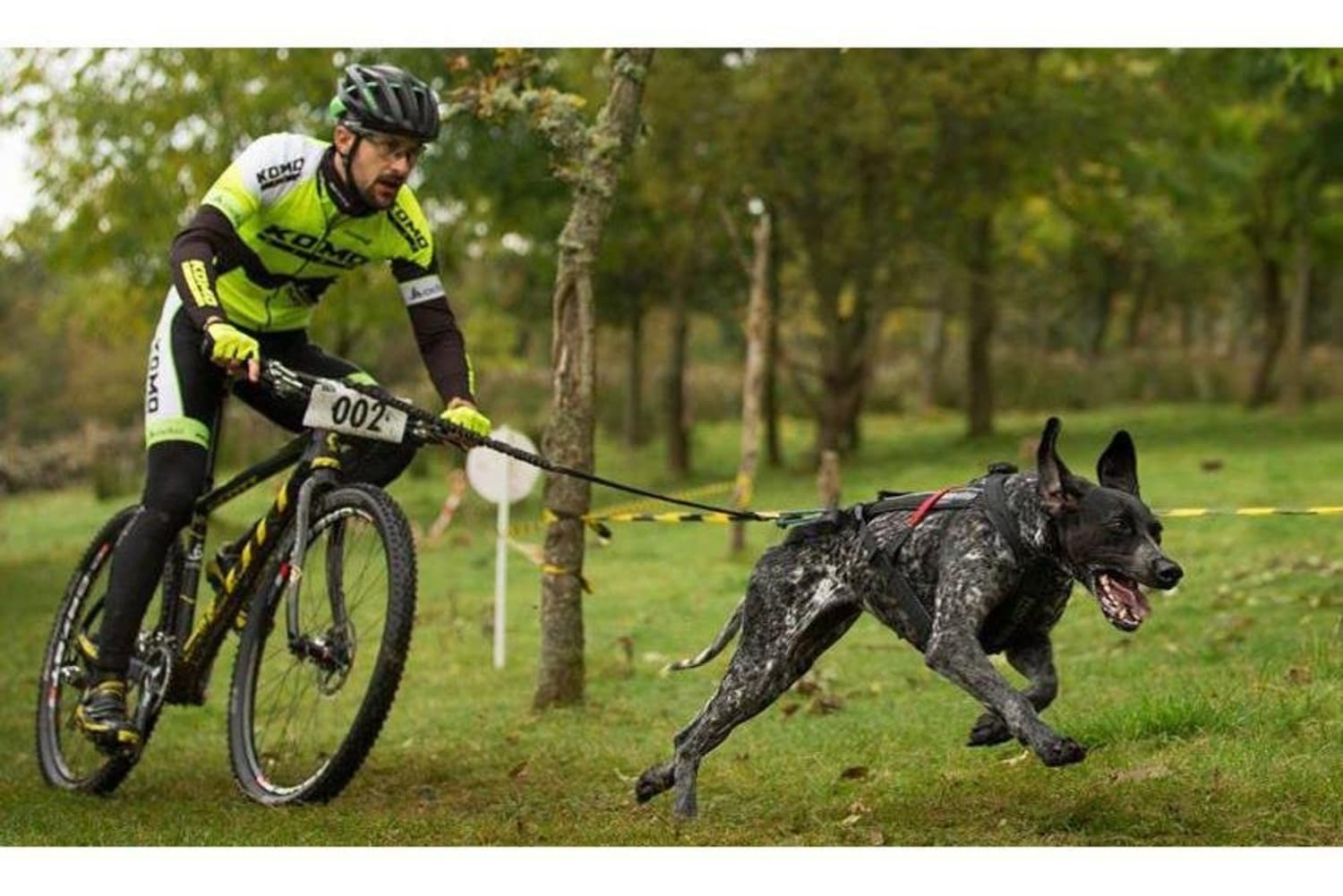 Polovélo, Bikejoring... Le vélo dans tous ses états