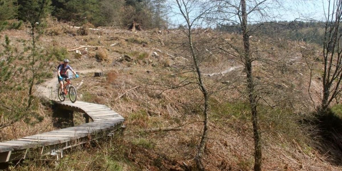 Dalby forest mountain bike discount