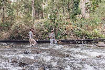 Two people wade through rivers while fly fishing in Australia.